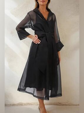 Jarbo Sheer Black Silk Gabrielle Organza Shirt Dress Women’s Medium